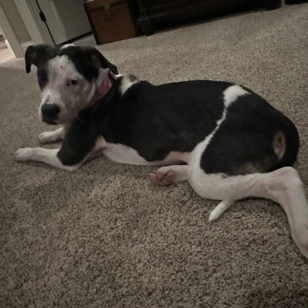 Maggie