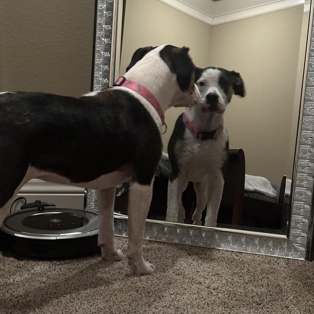 Maggie