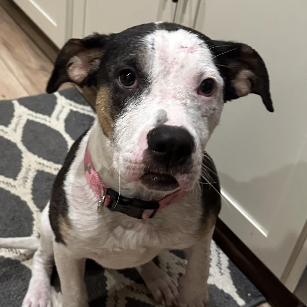 Maggie