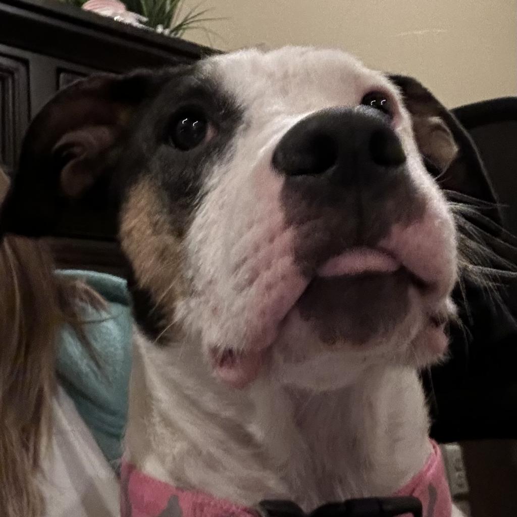 Maggie
