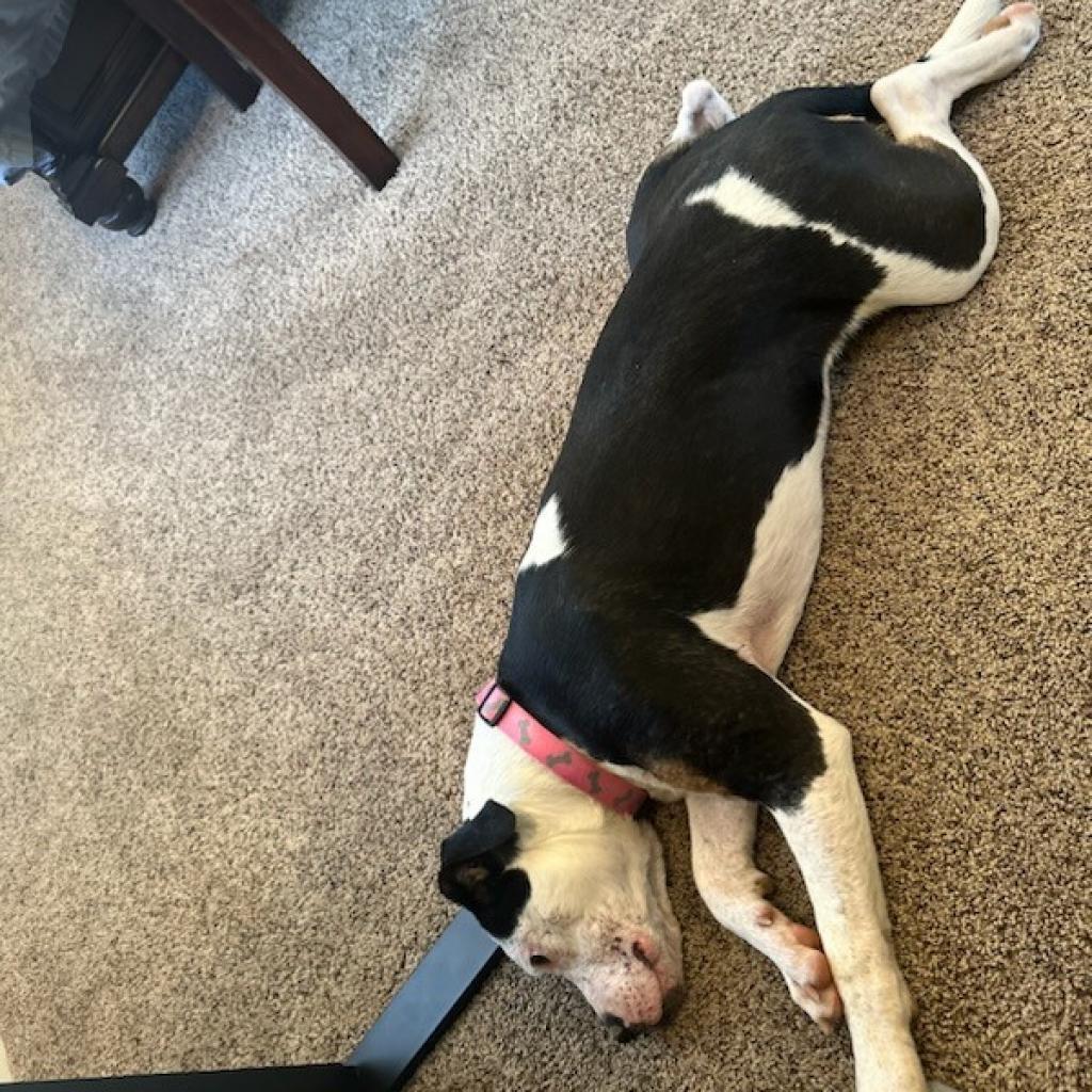 Maggie
