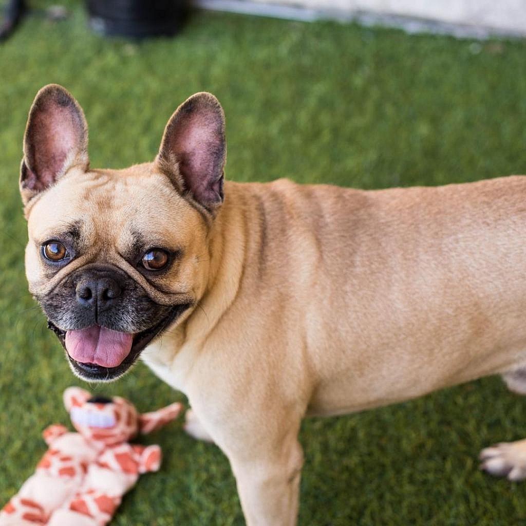 Ryan Reynolds fka Kevin