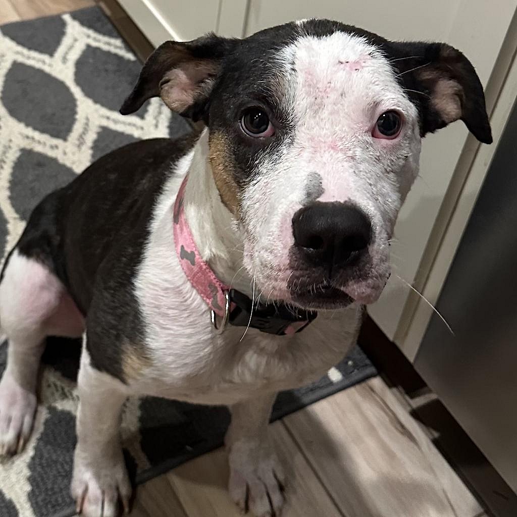 Maggie