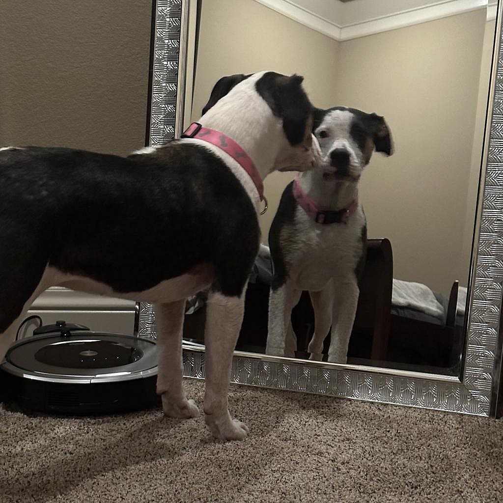 Maggie
