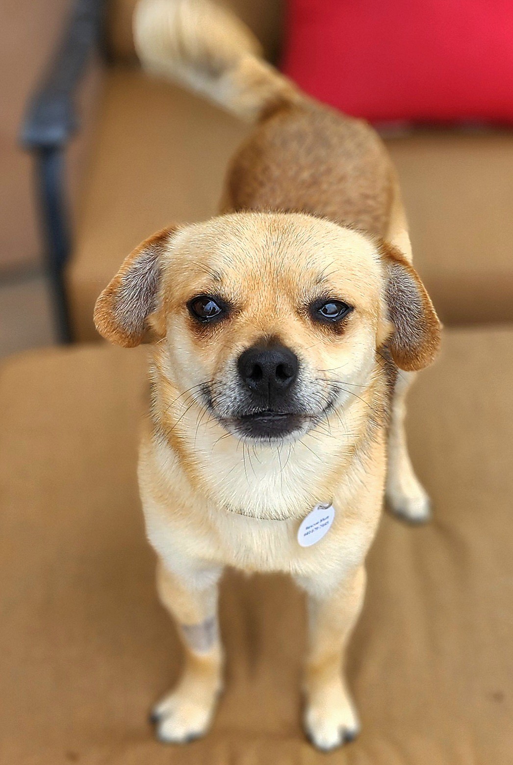 Palmer