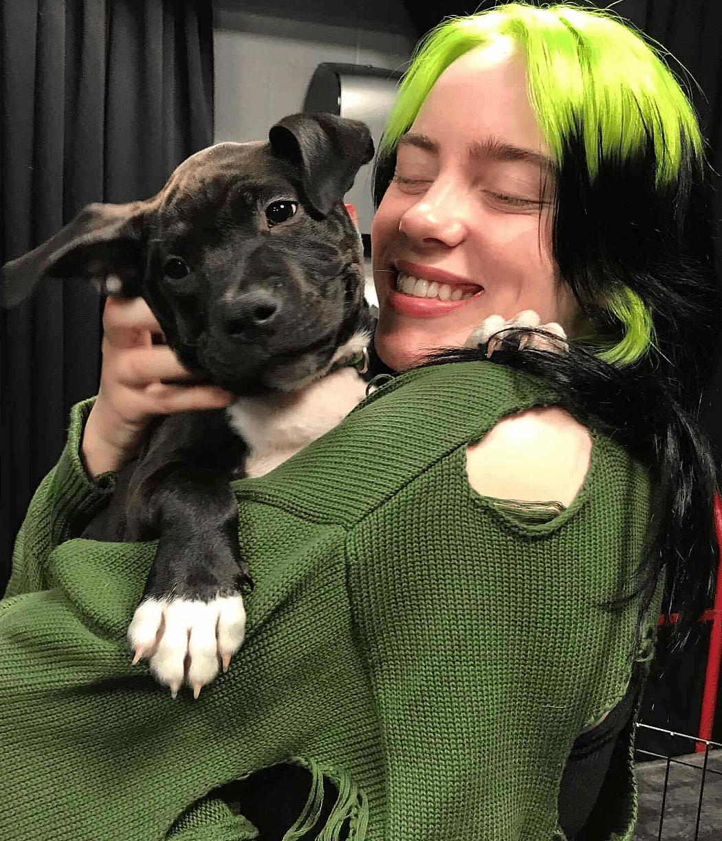 Celebrities Own Pitbulls - billie eilish and her dog