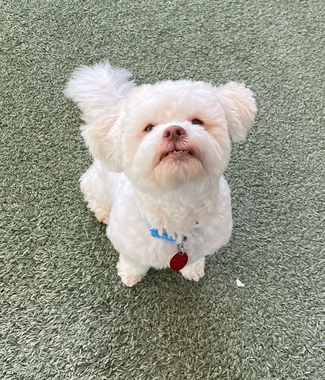 Yuki