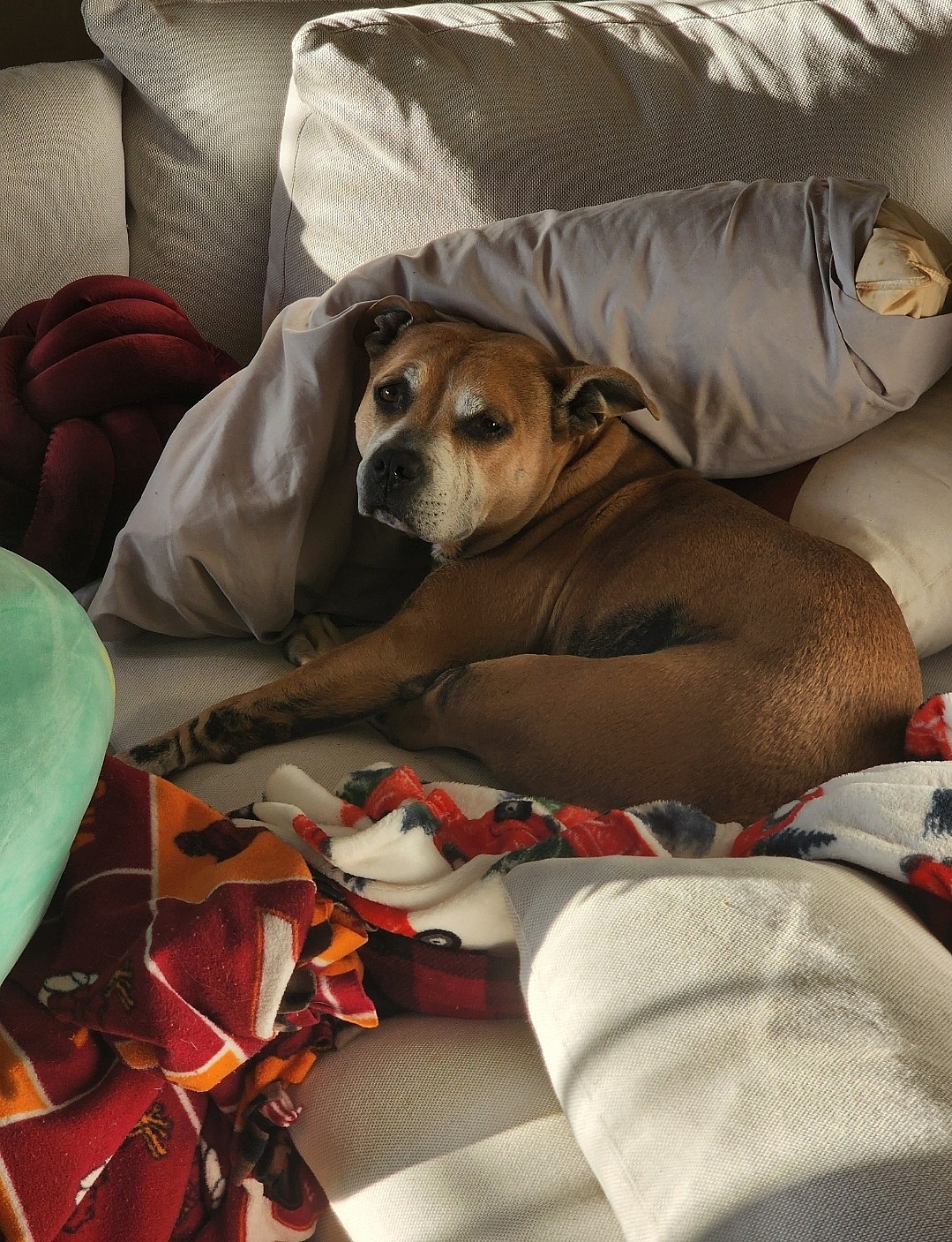 Vala aka Potato Queen Mommy