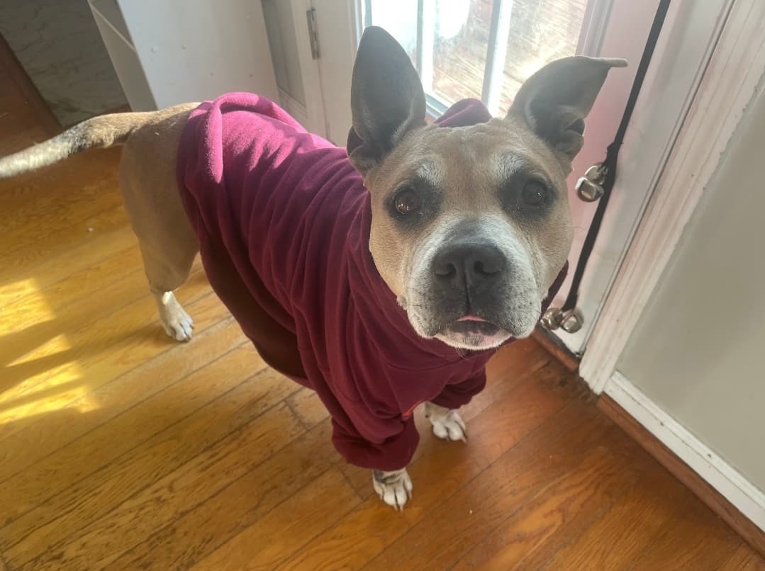 Vala aka Potato Queen Mommy
