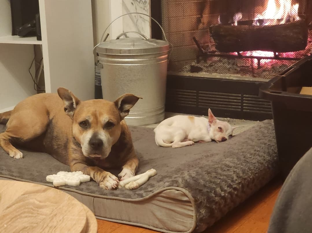 Vala aka Potato Queen Mommy