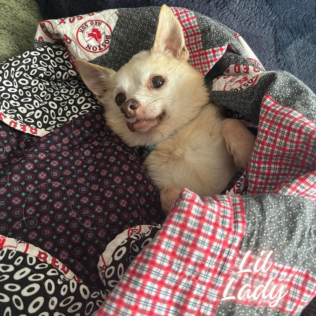 Lil Lady [bonded to Squeaky]