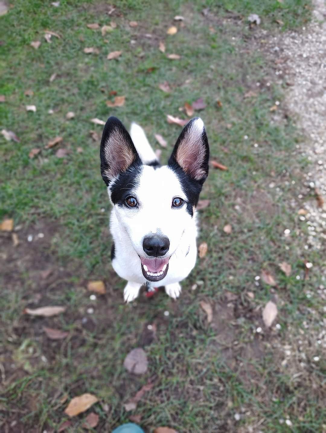 Buster
