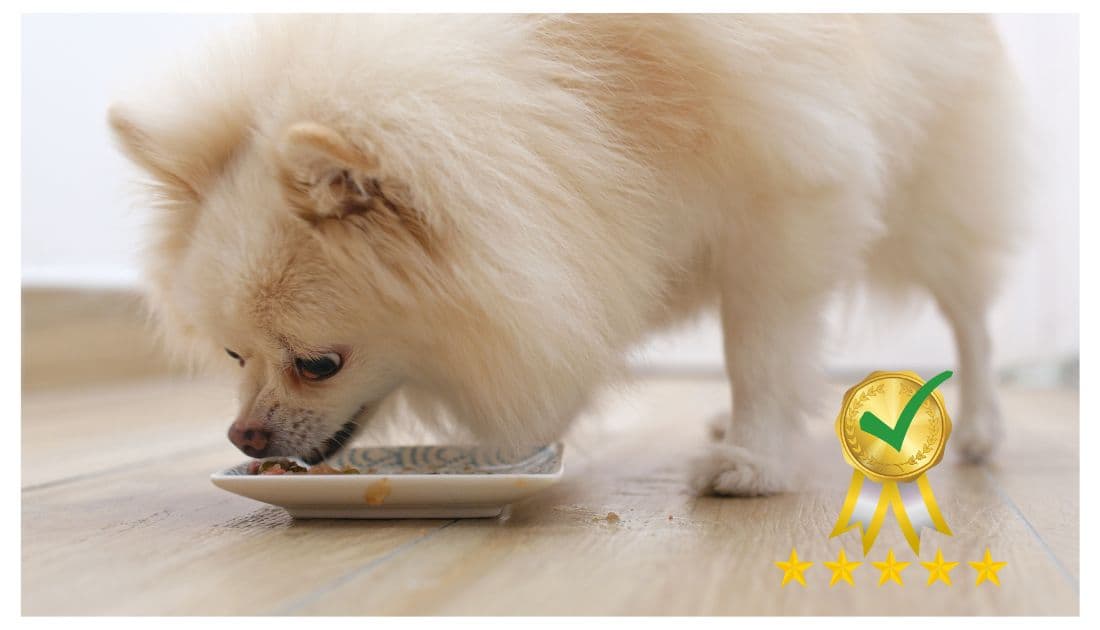 Best Dog Food For Pomeranians