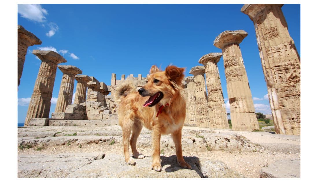 historical dog names