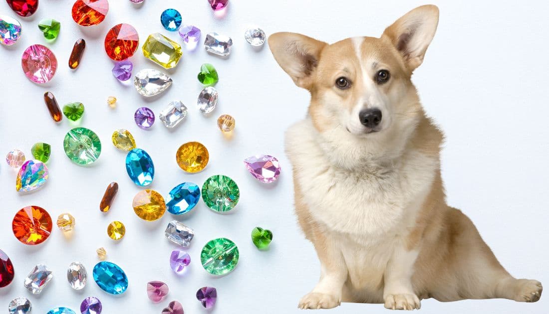 Crystal Names for Dogs