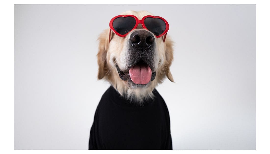 Gothic Names for Dogs