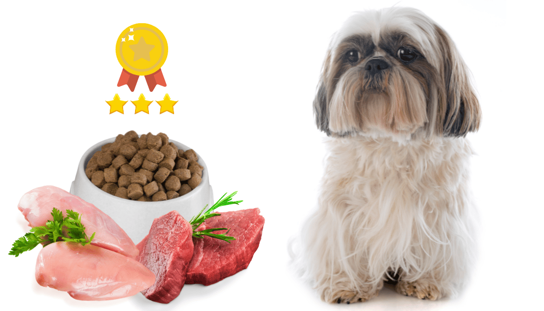 When to Switch to Adult Dog Food Shih Tzu: Essential Timing Tips