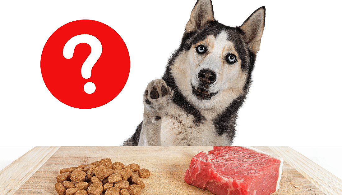 best food for huskies