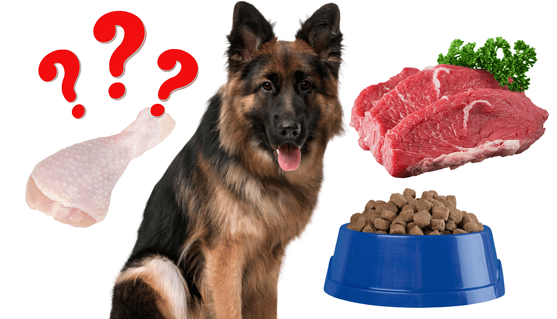 Best dog food for German Shepherd