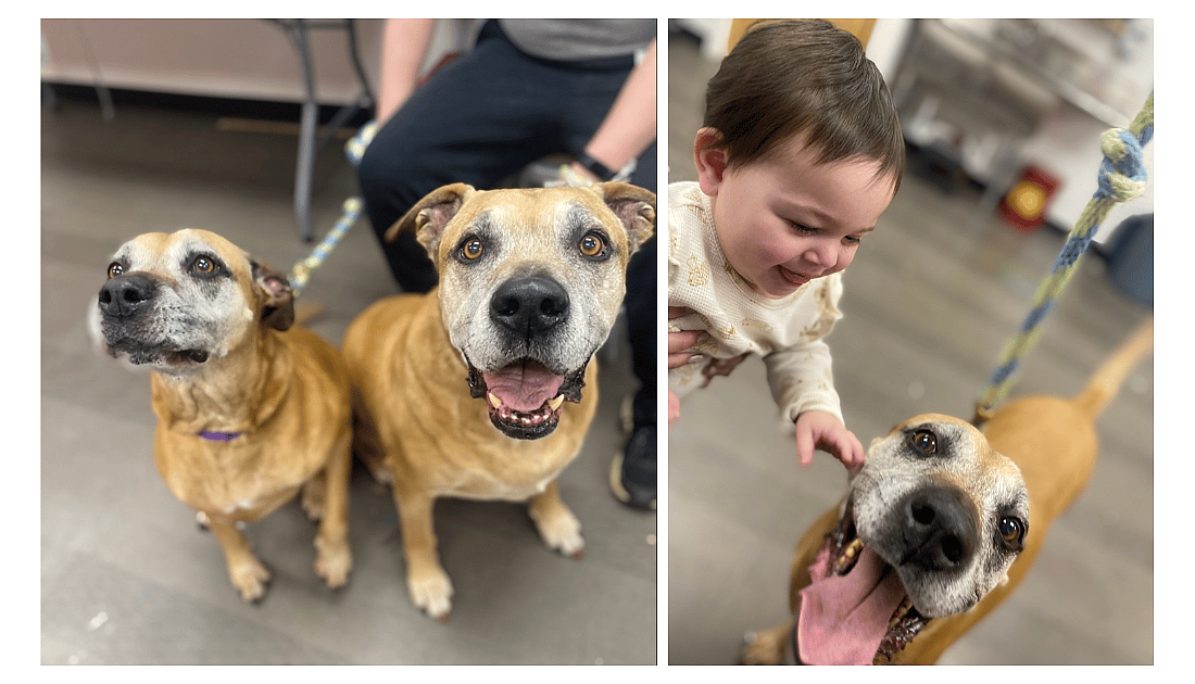 Fred and Ethel (a bonded pair)