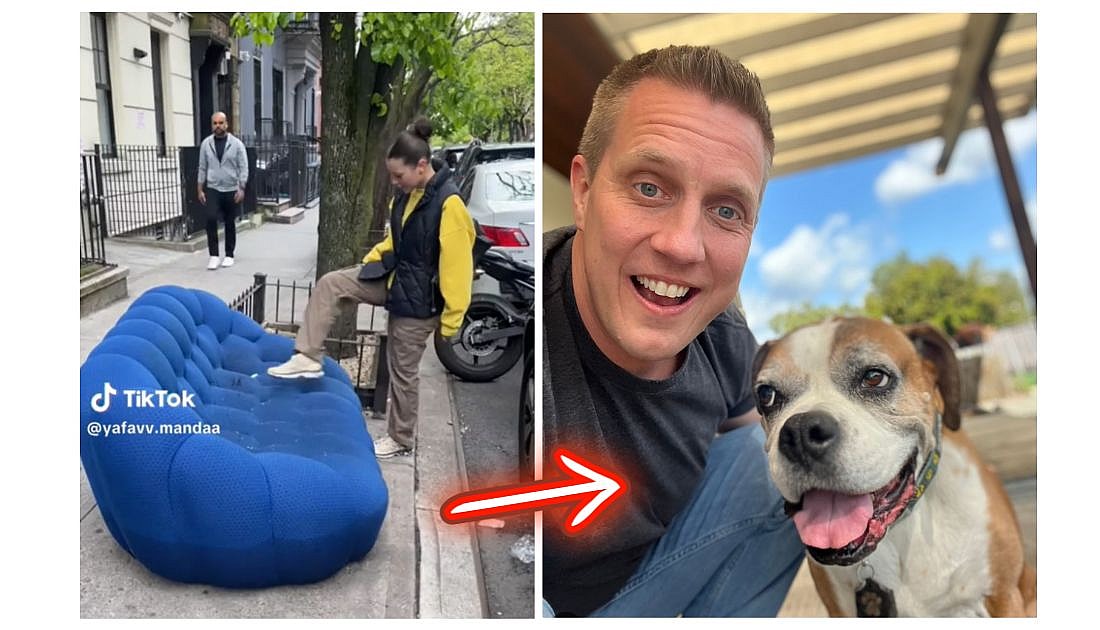 From Discarded Couches to Designer Dogs: The Value of Second Chances