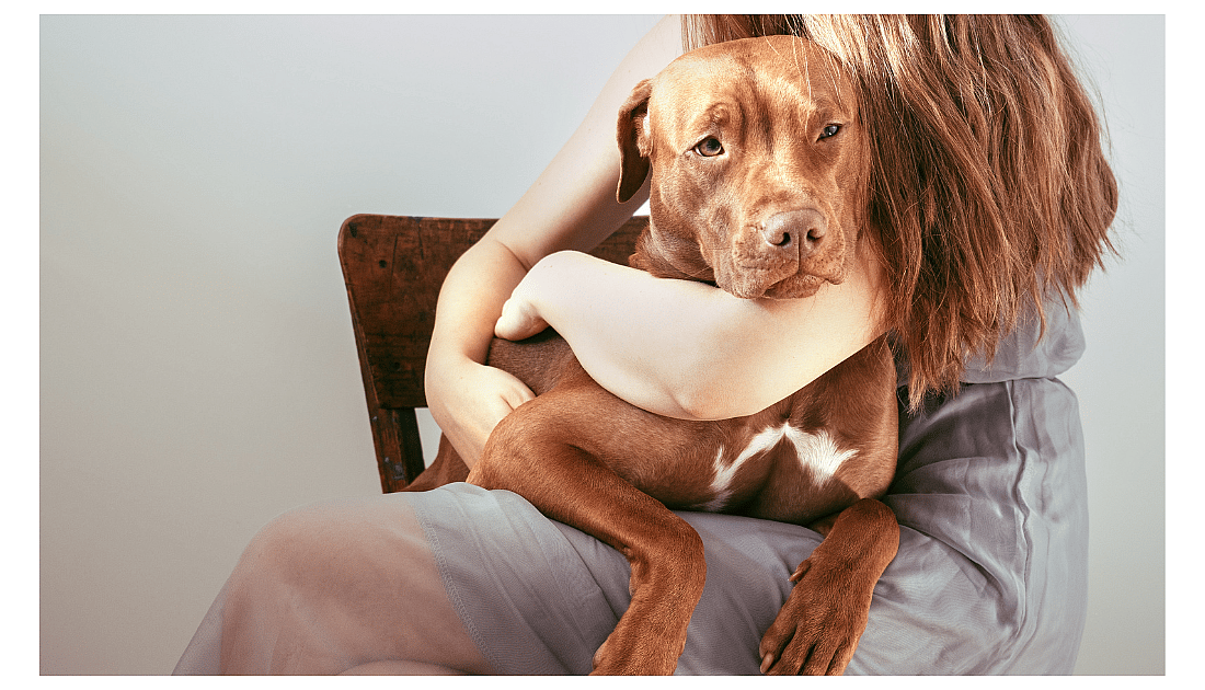 Do dogs like hugs?