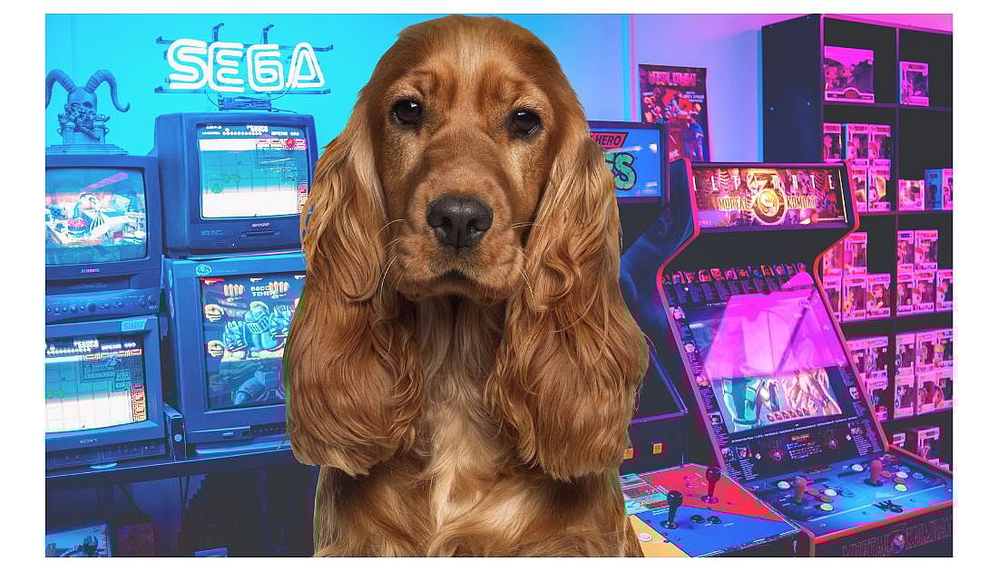 Video Game Dog Names