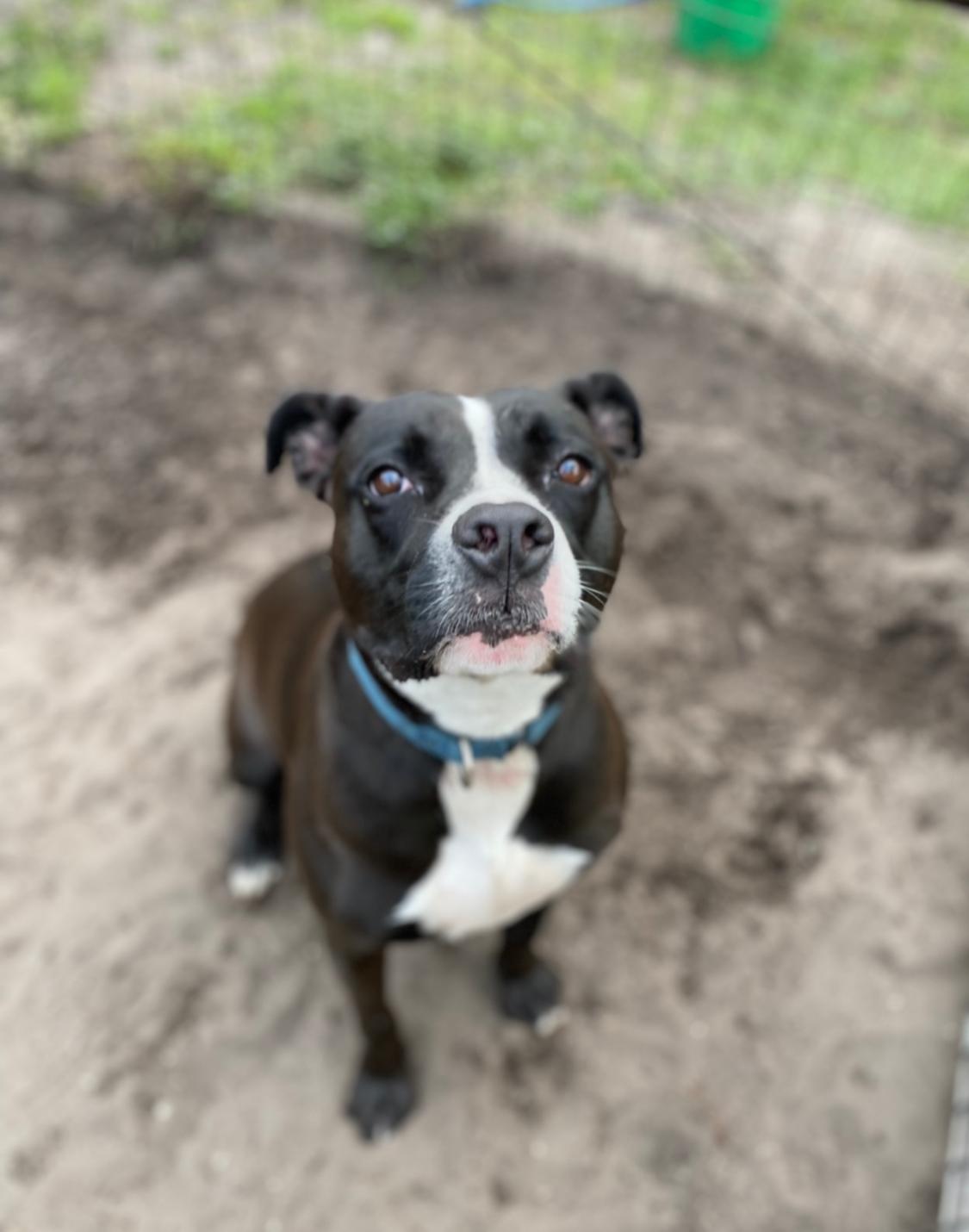 Jett