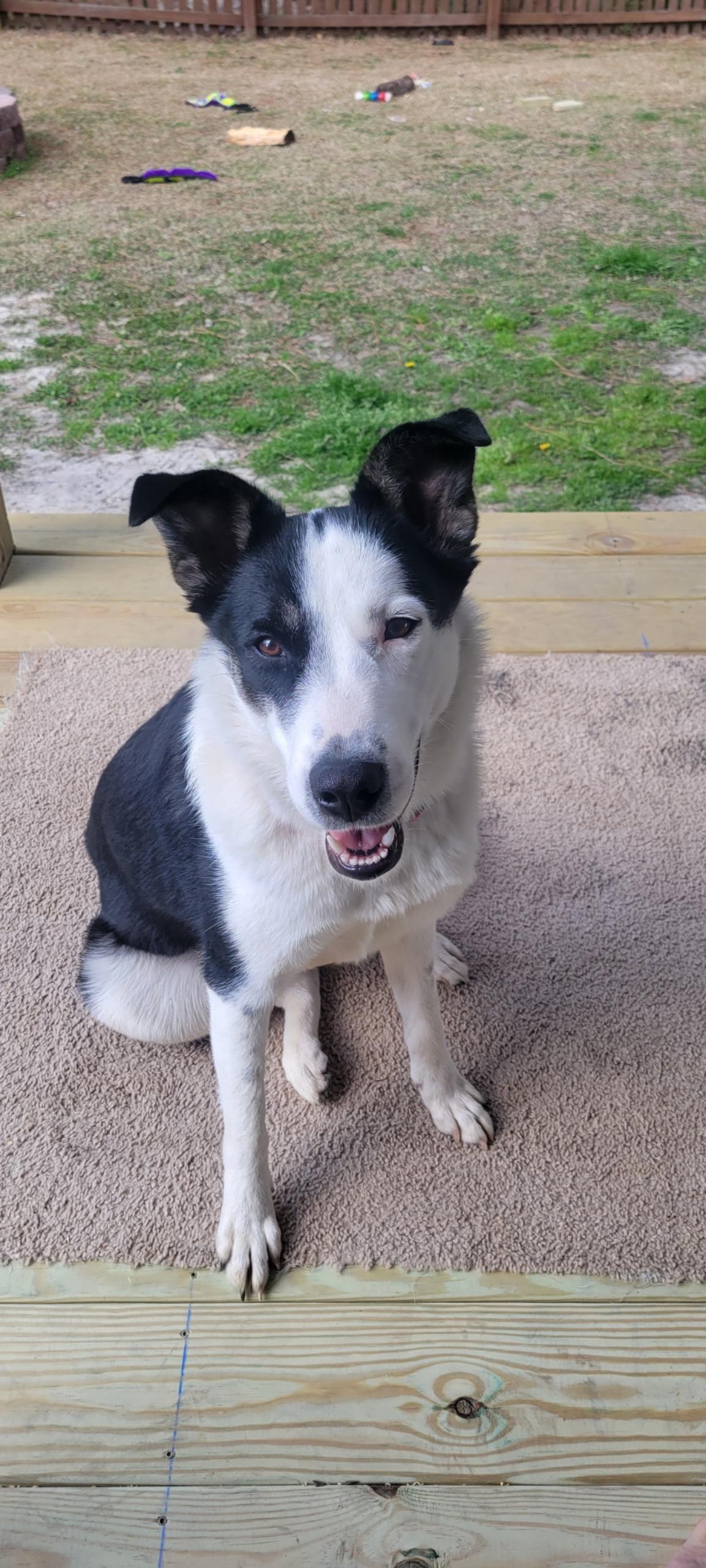 Maya