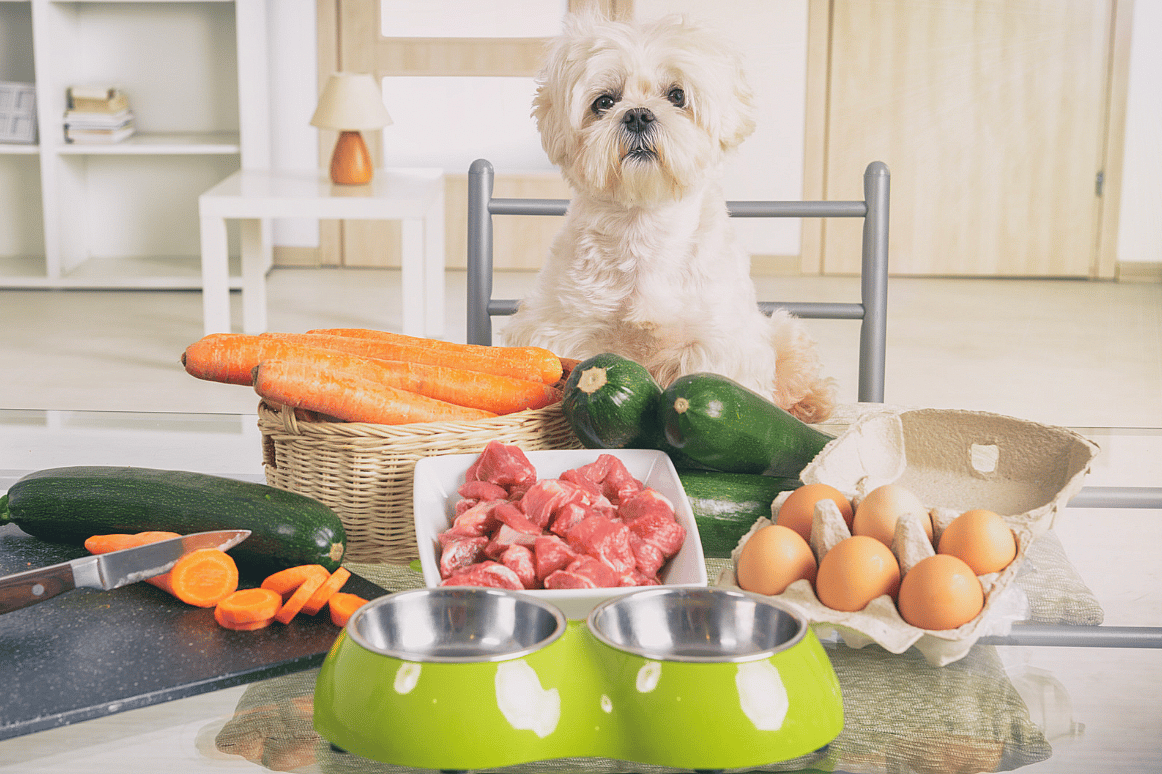 dog food ingridients