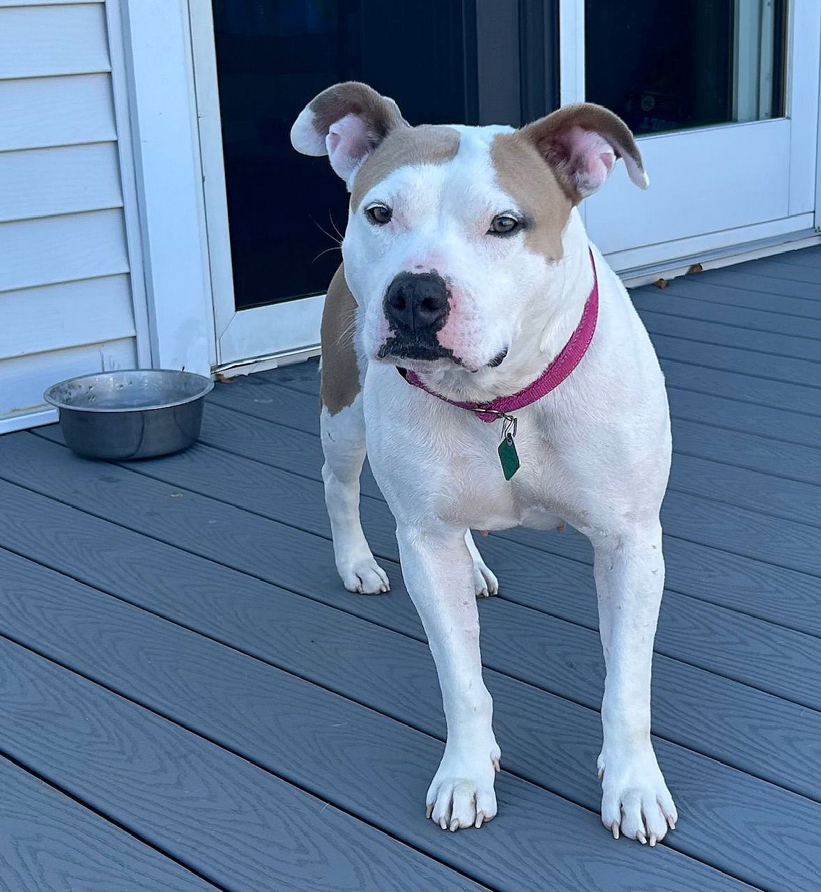 Carolina *SWEETEST GIRL*