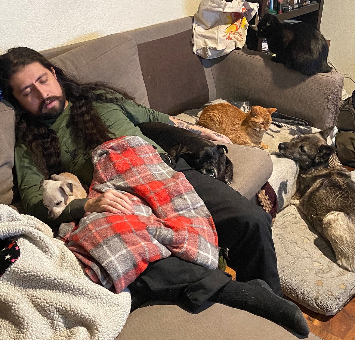 Couple Promised to Make 17 Year Old Blind Dog's Last Days Special. What They Achieved Was Beautiful