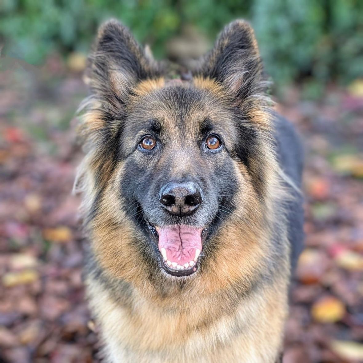 Kiko