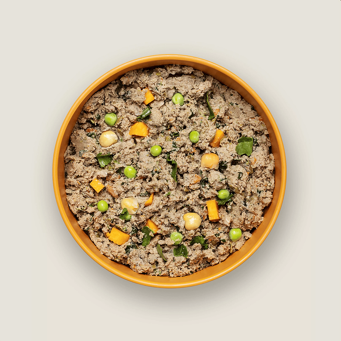 Ollie - the Best Dog Food brands