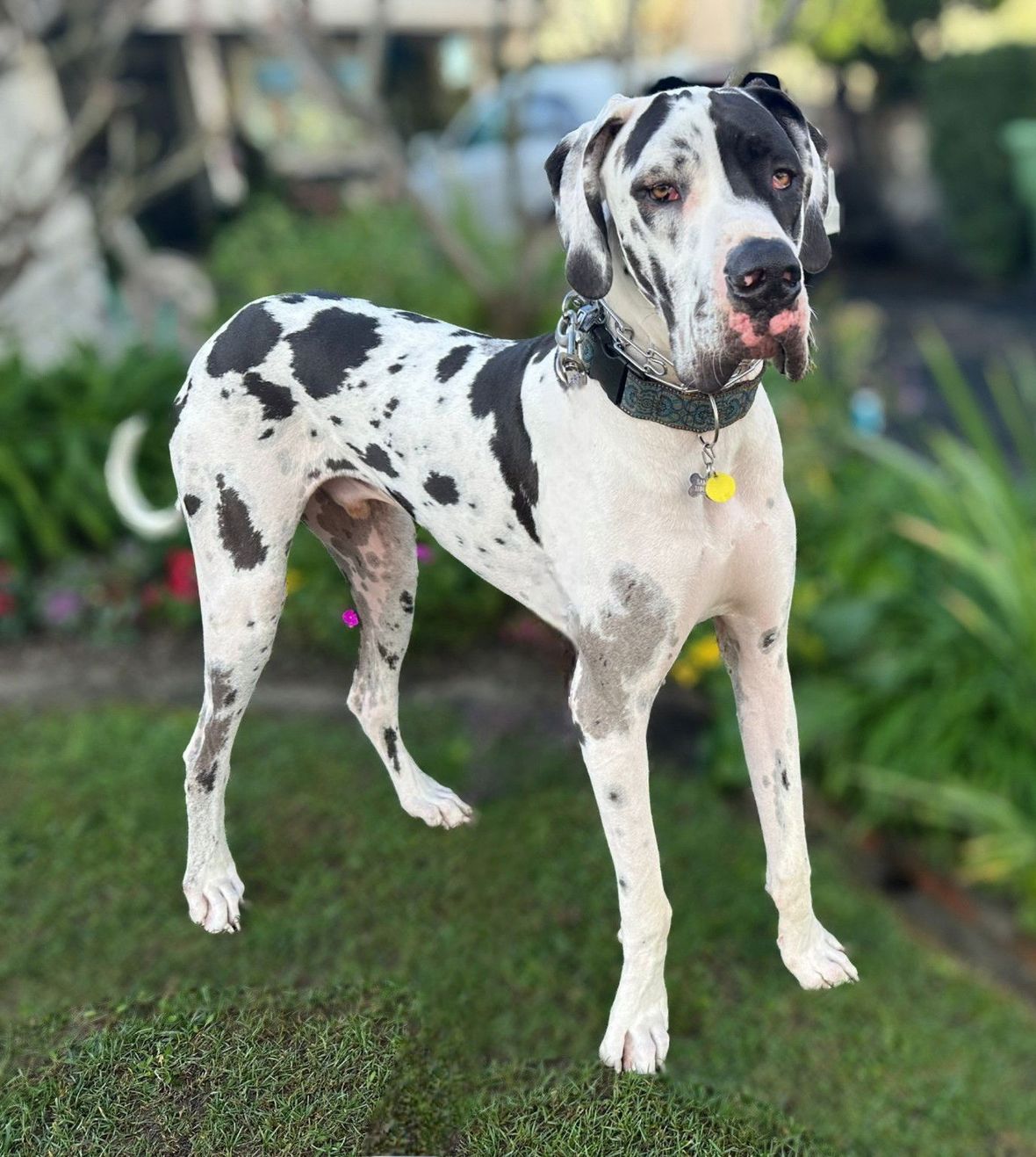 Sampson