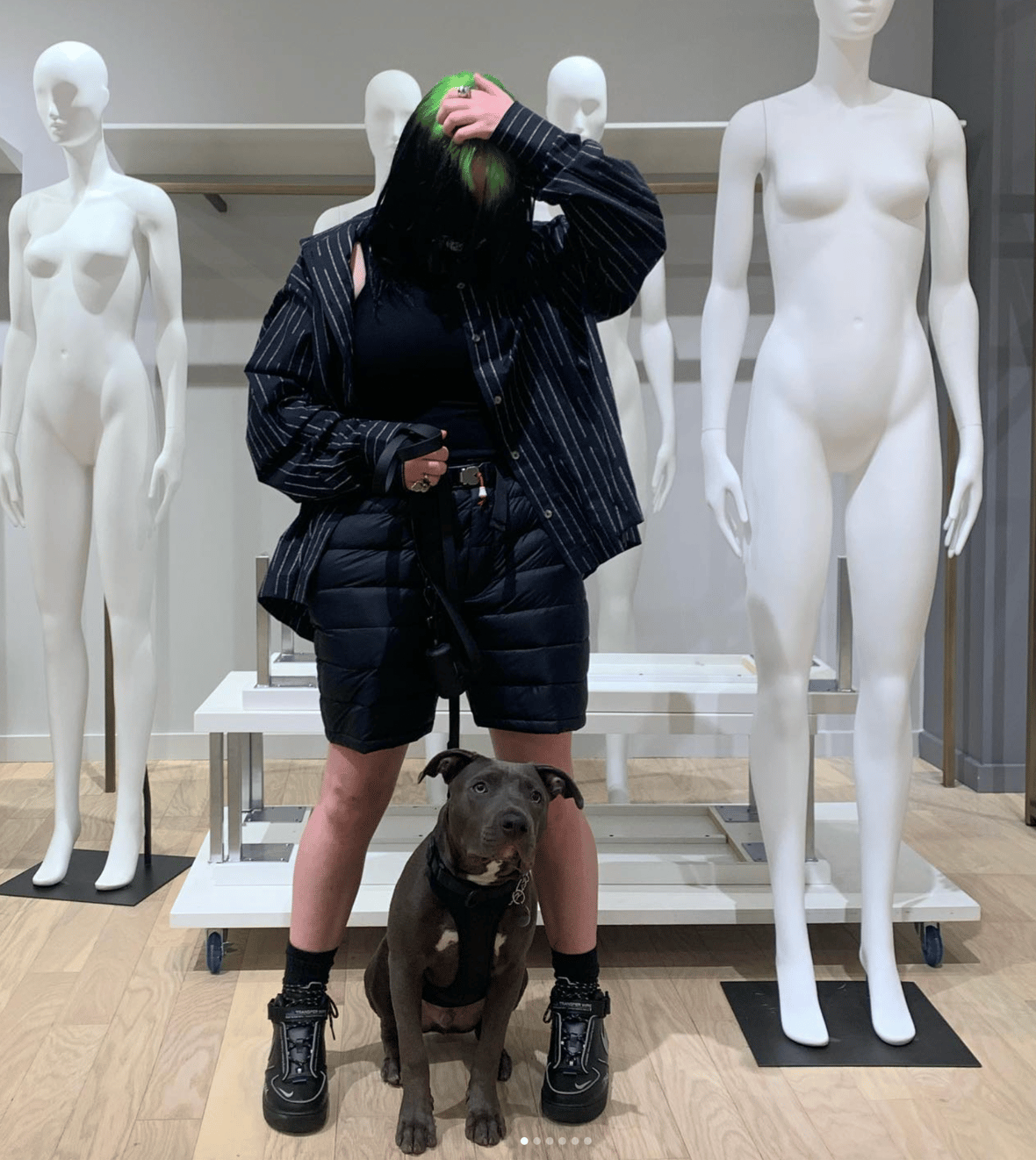 Celebrities Own Pitbulls - Billie Eilish and her dog