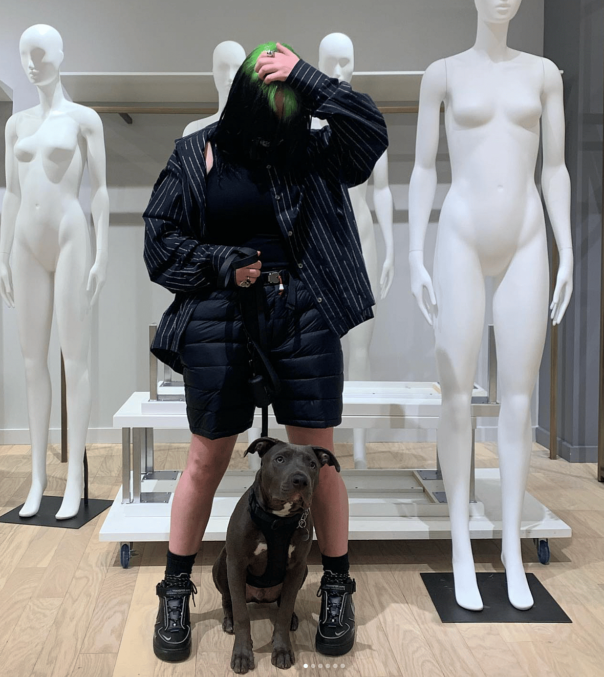 Celebrities Own Pitbulls - Billie Eilish and her dog
