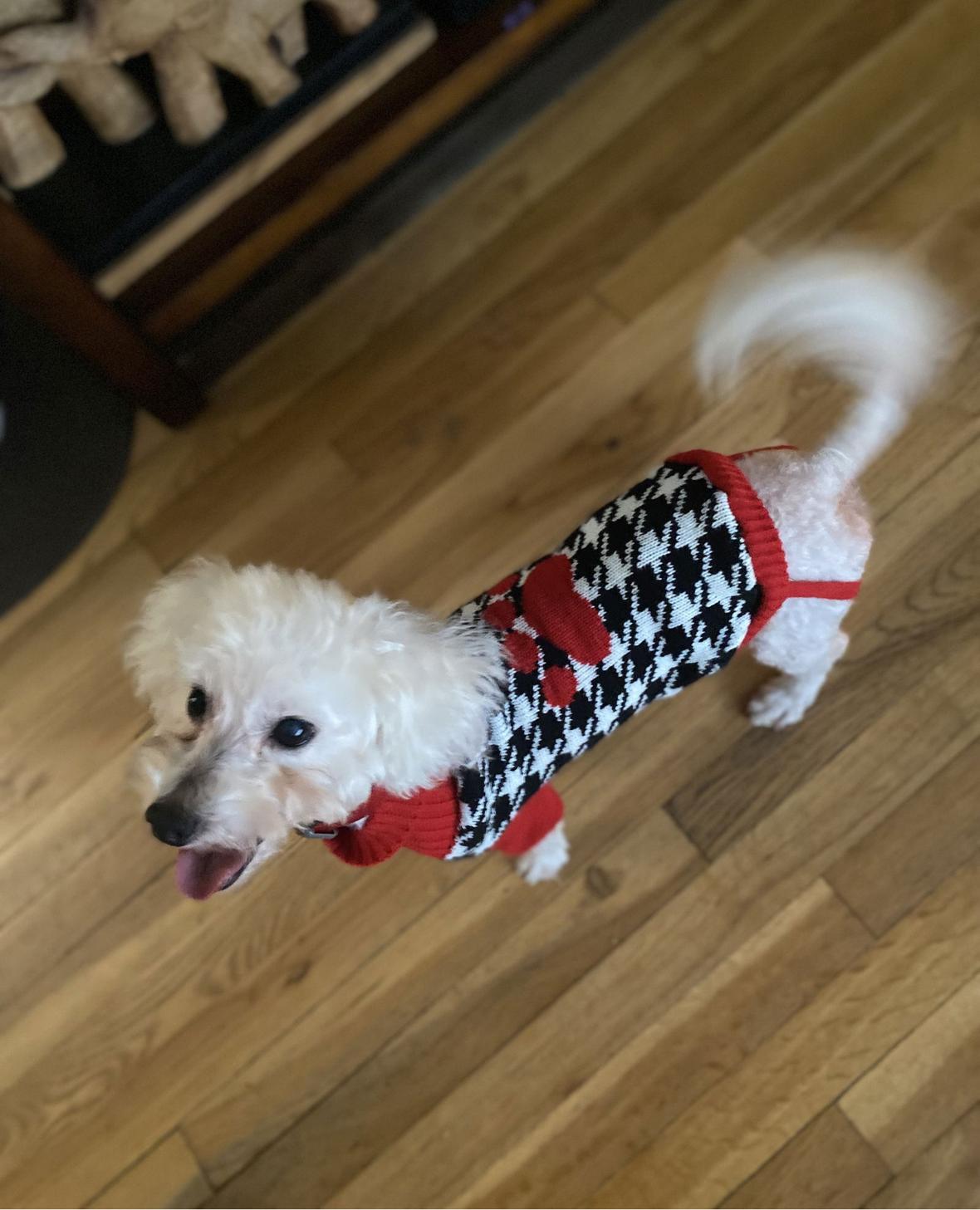 Toto
