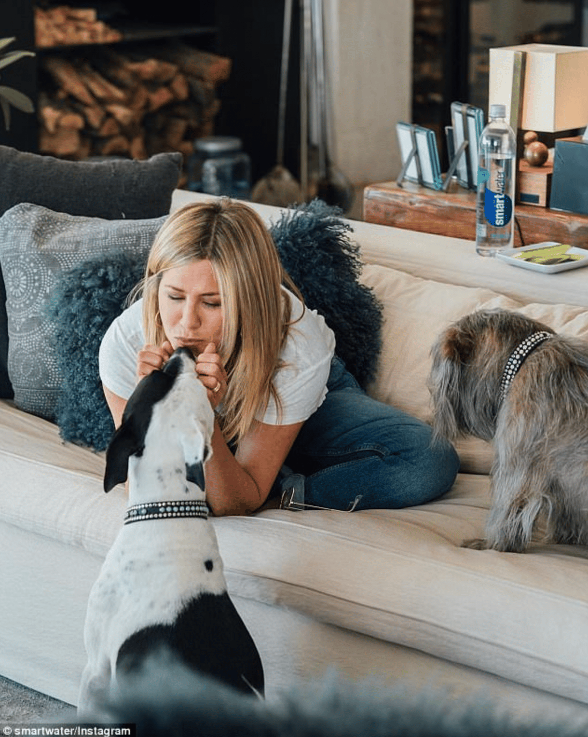 Celebrities Own Pitbulls - jennifer aniston
