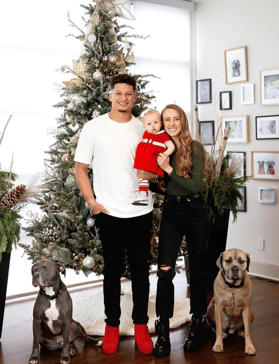 Celebrities Own Pitbulls - Patrick Mahomes and his family