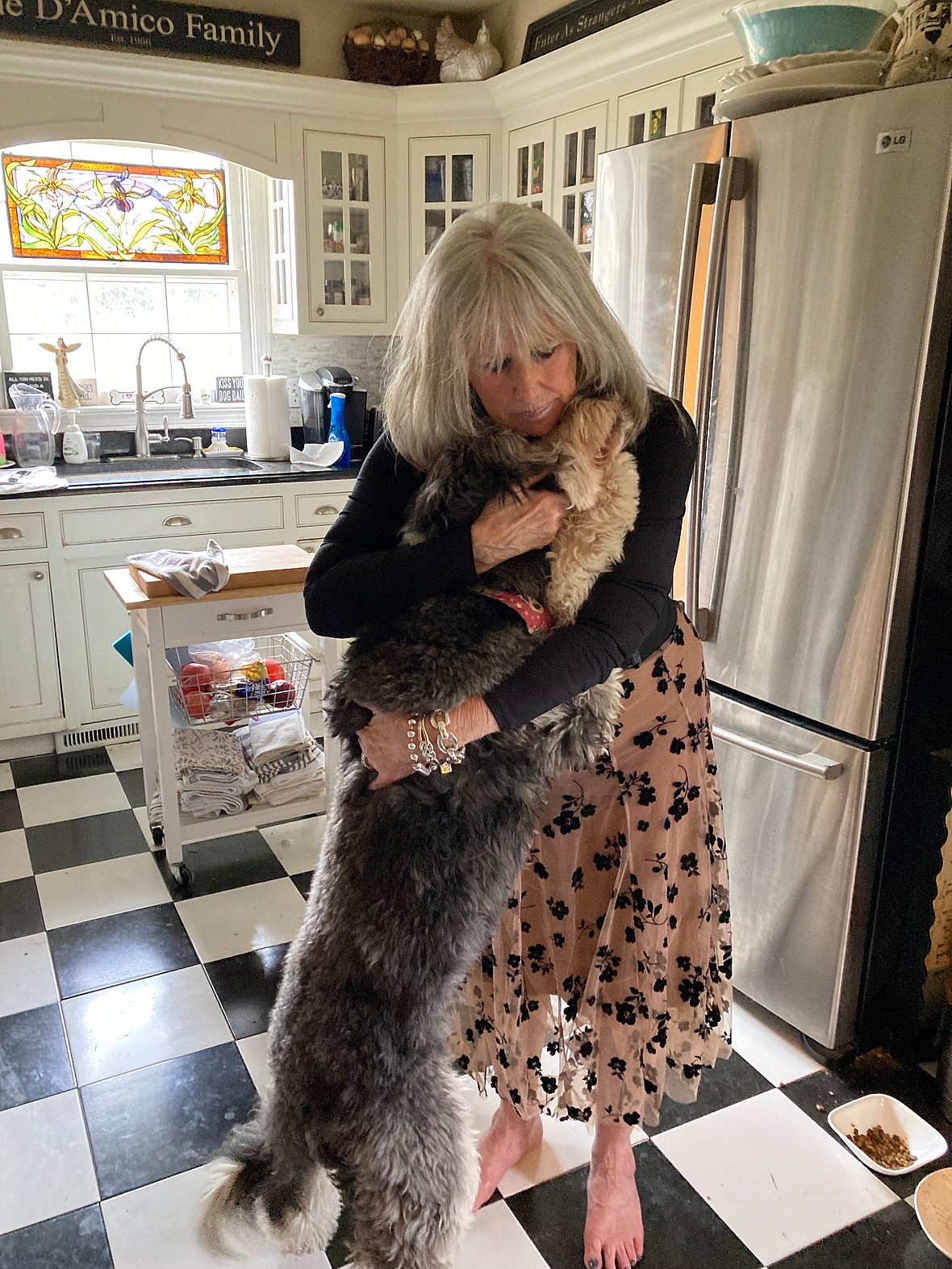 Dog Rescue: Puppy Mill Mama Abandoned After Pups Were Stillborn, Finds Solace Thanks To Loving Family