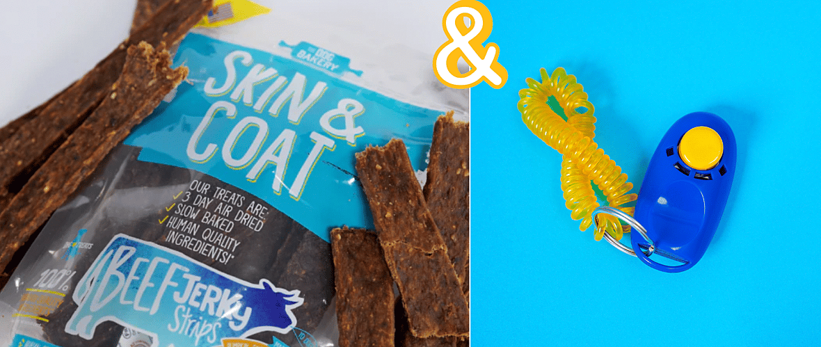 Teaching Your Dog to Shake Paws - Jerky treat and a clicker as tools