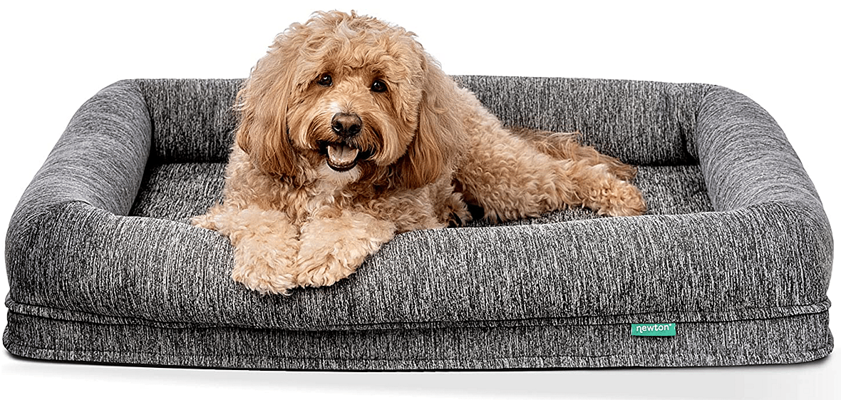 Newton Dog Bed