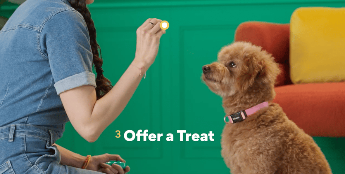 Teaching Your Dog to Shake Paws