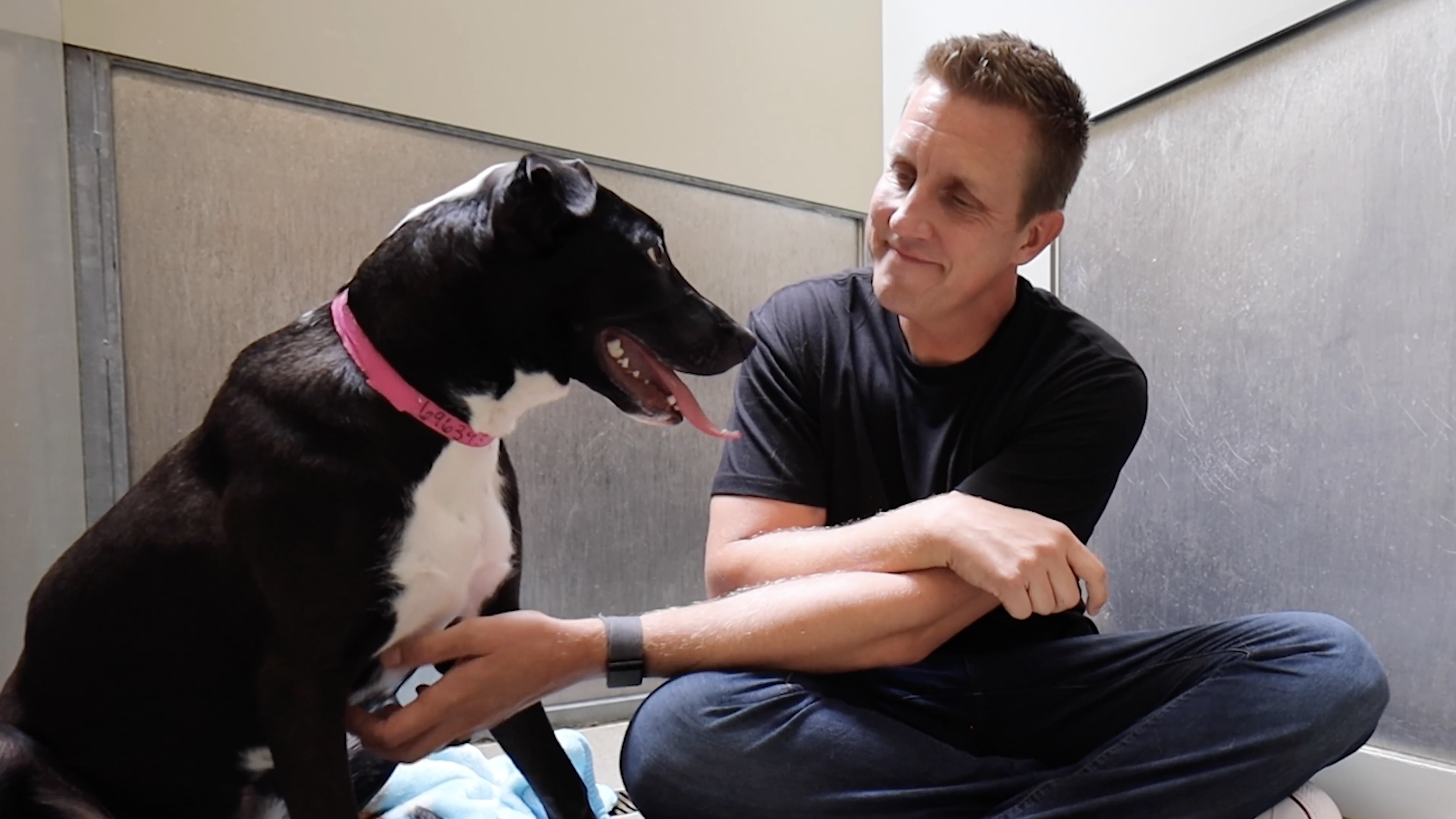 How to Calm Your Reactive Dog