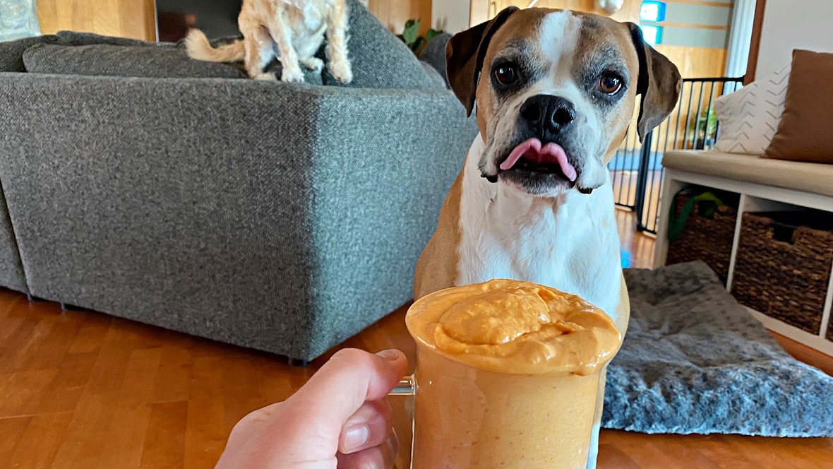 Flip having pumkin puppuccino
