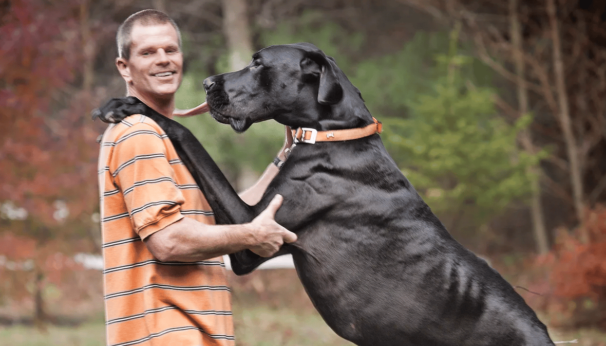 Tallest Dog In The World