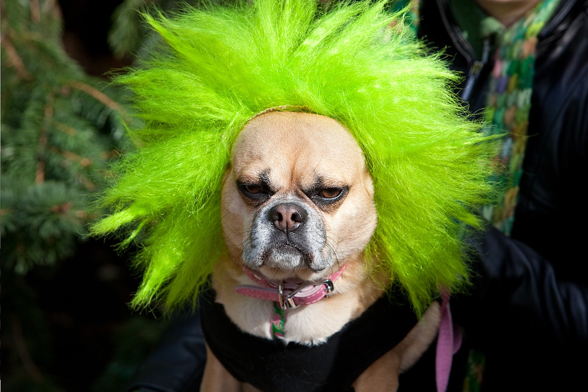 Gothic Names for Dogs