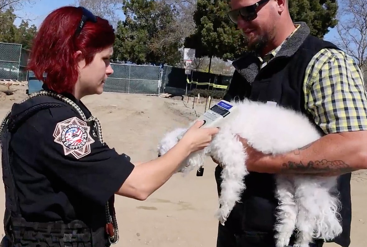Preventing Animal Control Issues: The Importance of Microchipping