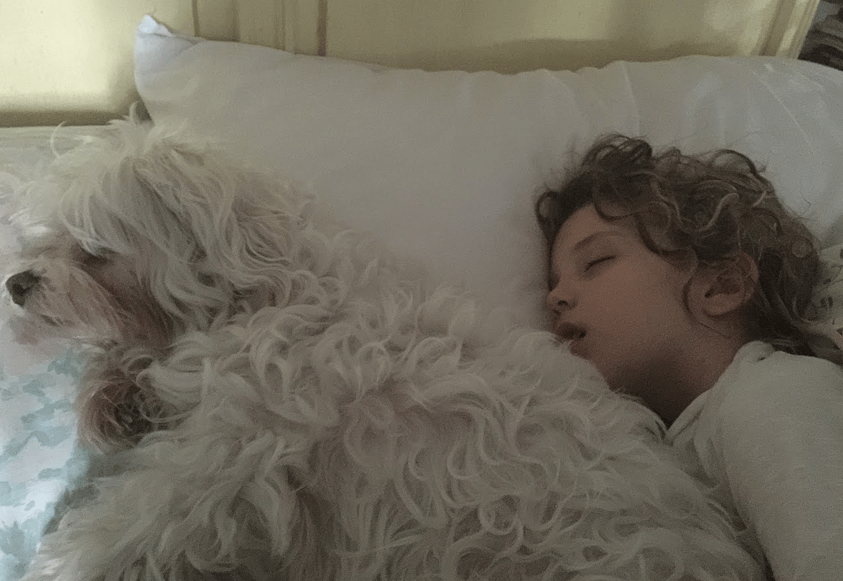 Why Do Dogs Sleep with Their Bum Facing You?